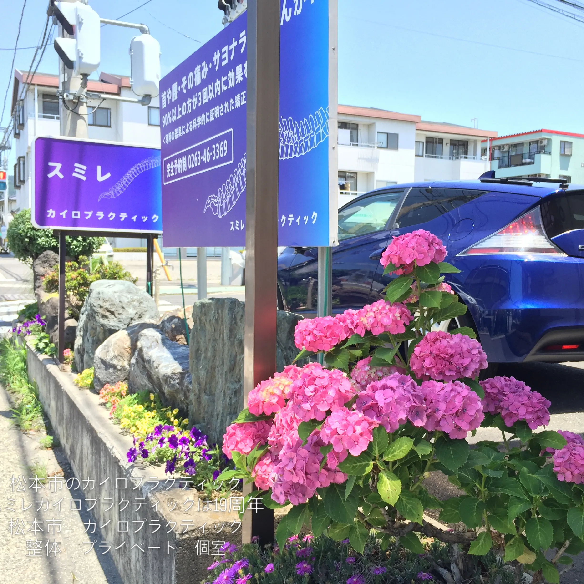 ７月になりました